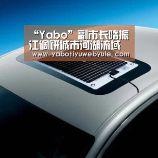 “Yabo”副市长隋振江调研城市河湖流域河长制工作(图1) 亚博娱乐