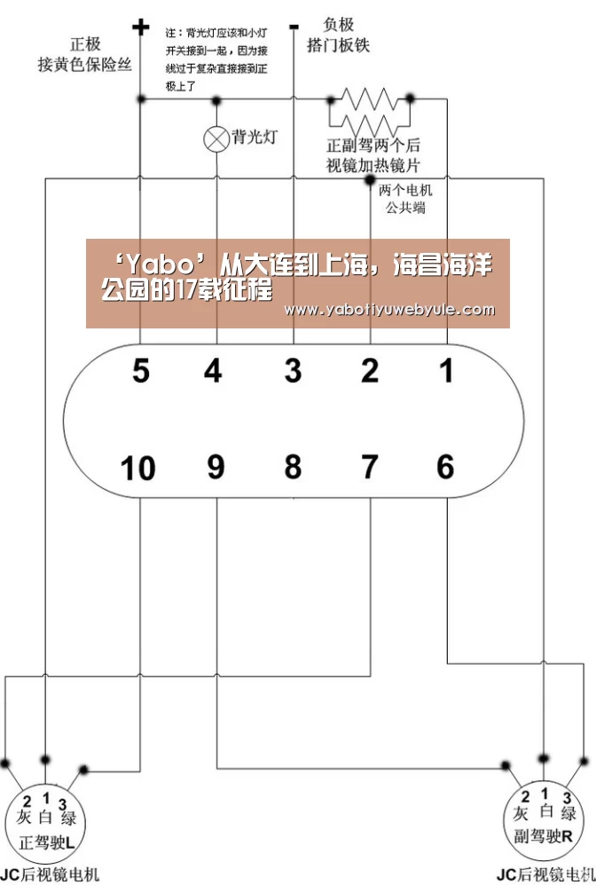‘Yabo’从大连到上海,海昌海洋公园的17载征程(图4) 亚博体育