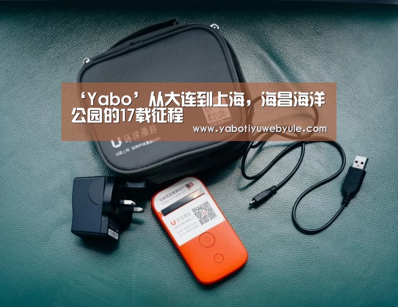 ‘Yabo’从大连到上海,海昌海洋公园的17载征程(图1) ‘Yabo’从大连到上海,海昌海洋公园的17载征程(图1)