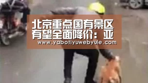 亚博官网